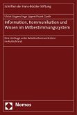 Information, Kommunikation und Wissen im Mitbestimmungssystem