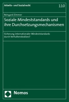 Soziale Mindeststandards und ihre Durchsetzungsmechanismen - Zimmer, Reingard