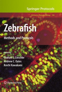 Zebrafish - Lieschke, Graham J. / Oates, Andrew C. / Kawakami, Koichi (ed.)