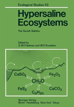 Hypersaline ecosystems., The Gavish sabkha. - Friedman, Gerald M. [Hrsg.]