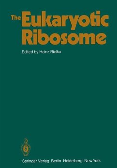 The eukaryotic ribosome.