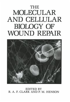 The Molecular and Cellular Biology of Wound Repair - Clark, R a F; Henson, P M