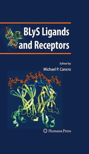 BLyS Ligands and Receptors BLyS Ligands and Receptors