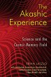 The Akashic Experience - Bild 1