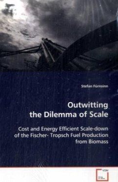 Outwitting the Dilemma of Scale - Fürnsinn, Stefan