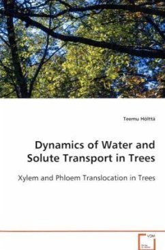 Dynamics of Water and Solute Transport in Trees - Hölttä, Teemu