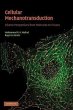 Cellular Mechanotransduction: Diverse... - Bild 1