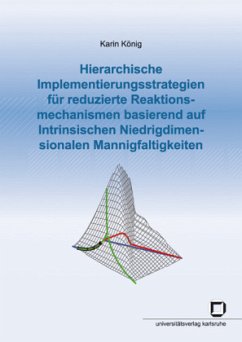 Cover Hierarchische Implementierungsstrategien für reduzierte Reaktionsmechanismen basierend auf Intrinsischen Niedrigdimensio