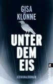 Unter dem Eis / Kommissarin Judith Krieger Bd.2