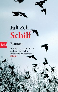 Schilf - Zeh, Juli
