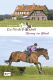 Die Pferdeklinik - Sprung ins Glück Die Pferdeklinik - Sprung ins Glück