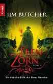 Feenzorn / Harry Dresden Bd.4