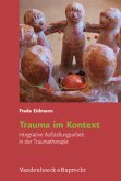 Trauma im Kontext