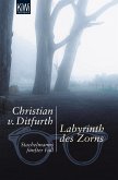 Labyrinth des Zorns / Stachelmann Bd.5