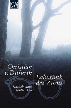 Labyrinth des Zorns / Stachelmann Bd.5 - Ditfurth, Christian von