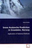 Snow Avalanche Prediction in Grasdalen, Norway