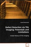 Defect Detection via THz Imaging: Potentials and Limitations