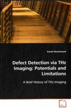 Defect Detection via THz Imaging: Potentials and Limitations - Houshmand, Kaveh