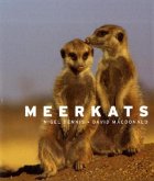 Meerkats