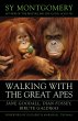 Walking with the Great Apes - Bild 1