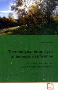 Thermodynamic analysis of biomass gasification - Prins, Mark Jan