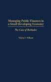 Managing Public Finances in a Small Developing Economy