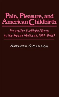 Pain, Pleasure, and American Childbirth - Sandelowski, Margarete; Shearer, Barbara