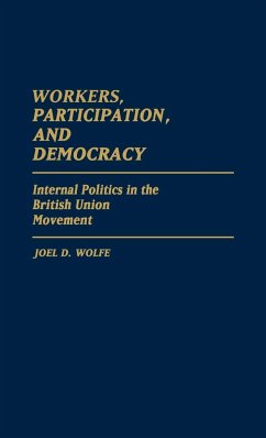 Workers, Participation, and Democracy - Wolfe, Joel D.