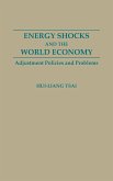 Energy Shocks and the World Economy