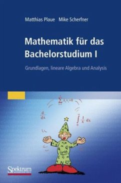 Mathematik für das Bachelorstudium - Plaue, Matthias; Scherfner, Mike