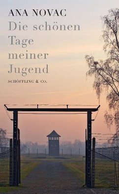 Die schönen Tage meiner Jugend - Novac, Ana