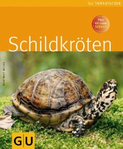 Schildkröten - Wilke, Hartmut