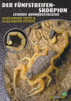 Der Fünfstreifen-Skorpion - Stürtz, Alexander;Tietz, Andreas