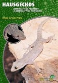 Hausgeckos - Hemidactylus Frenatus & Hemidactylus Flaviridis Hausgeckos - Hemidactylus Frenatus & Hemidactylus Flaviridis