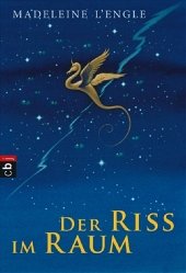 Cover Der Riss im Raum
