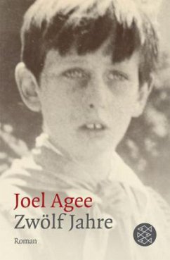 Zwölf Jahre - Agee, Joel