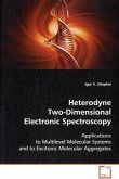 Heterodyne Two-Dimensional Electronic Spectroscopy