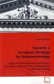 Towards a European Strategy for Nanotechnology