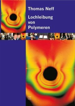 Lochleibung von Polymeren - Neff, Thomas