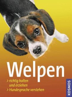 Welpen - Lübbe, Perdita;Loup, Frauke;Schöning, Barbara