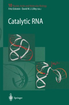 Catalytic RNA