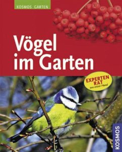 Vögel im Garten - Schmid, Ulrich