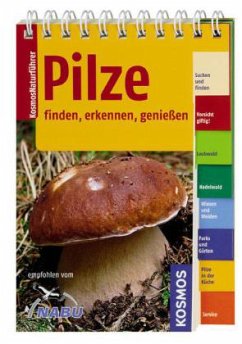 Pilze - Gminder, Andreas