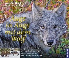Auge in Auge mit dem Wolf: 20 Jahre unterwegs mit frei lebenden Wölfen - Bloch, Günther