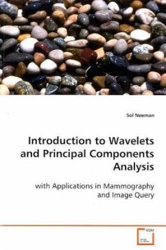 Introduction to Wavelets and Principal Components Analysis - neeman, sol