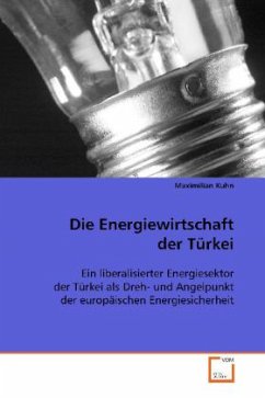 Die Energiewirtschaft der Türkei - Kuhn, Maximilian