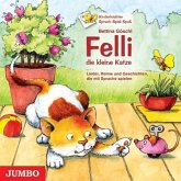 Felli, die kleine Katze