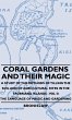 Coral Gardens and Their Magic - A Study... - Bild 1