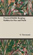 Practical Rabbit Keeping - Rabbits for... - Bild 1