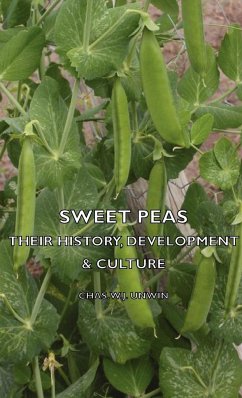 Sweet Peas - Their History, Development & Culture